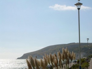 Eastbourne seafront in the winter sunshine