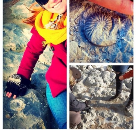 fossil hunting at beachy head